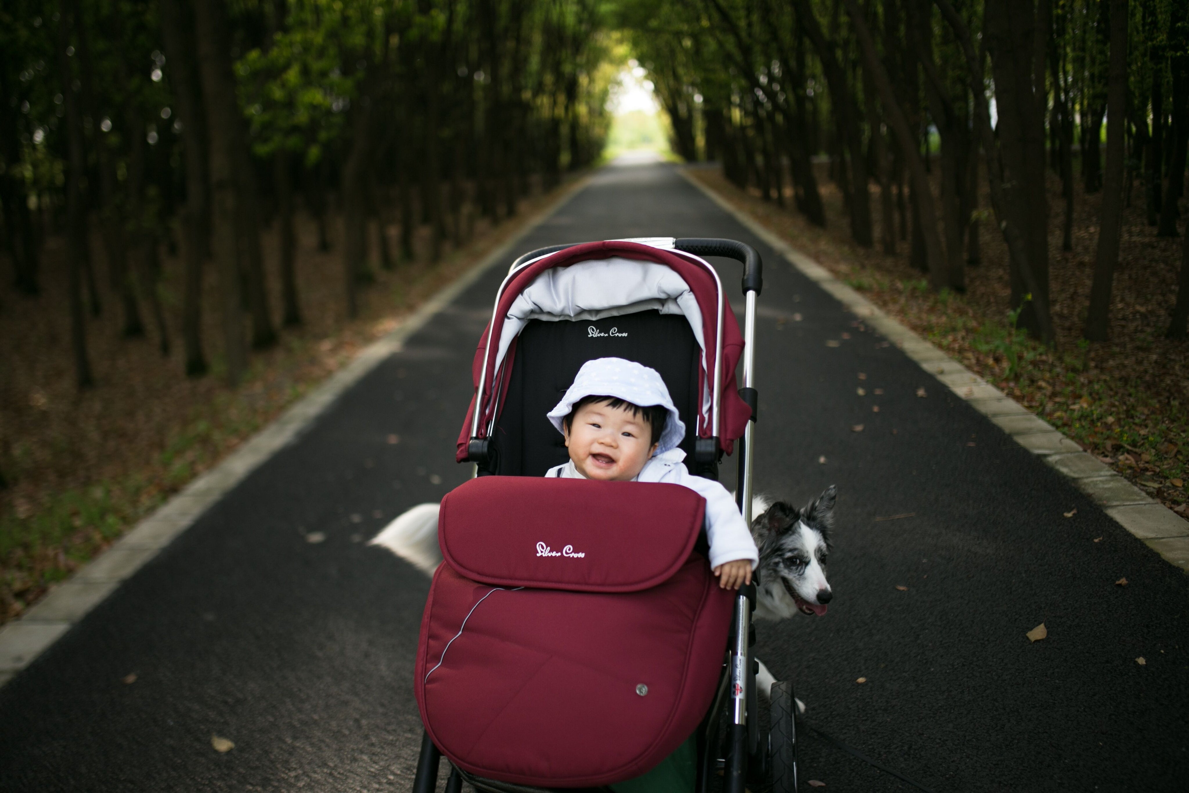 what to consider when buying a pram