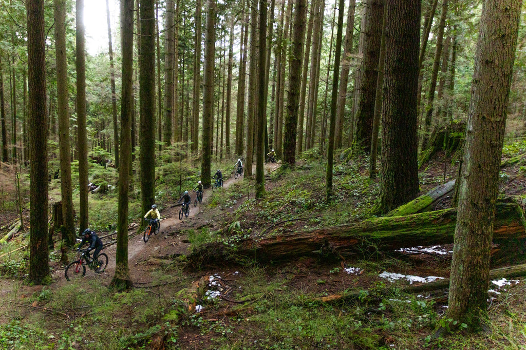 Hilltop MTB leading the riders through the forest