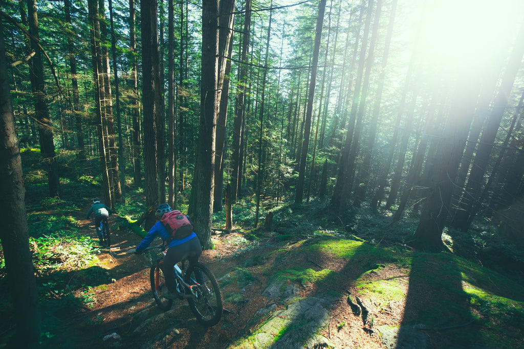 Riding in the sun on Mount Seymour