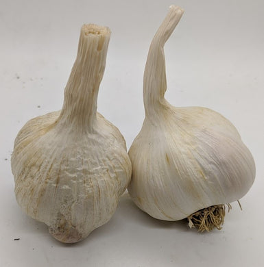 Nootka Rose garlic bulbs