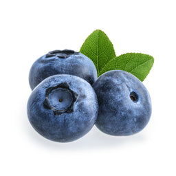 Blueberry_b7ccce01-b764-4849-90c7-68c3b5df88f0_256x.jpg