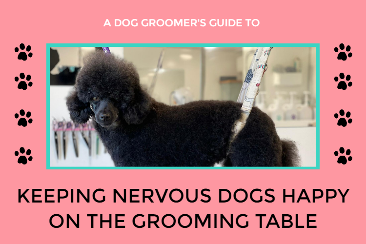 how do dog groomers keep dogs calm