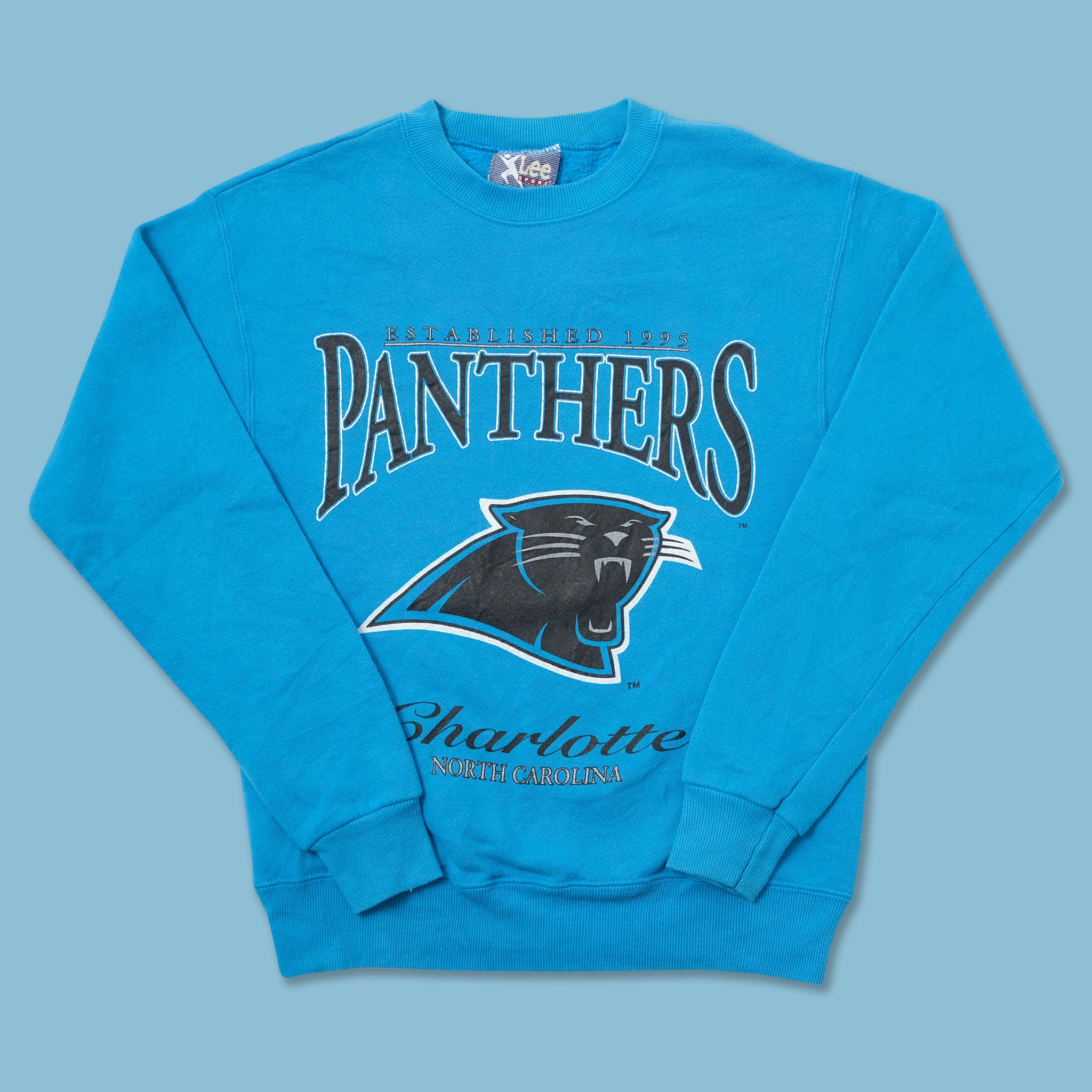 Vintage Champion Carolina Panthers Nfl Sweatshirts Large 80s 