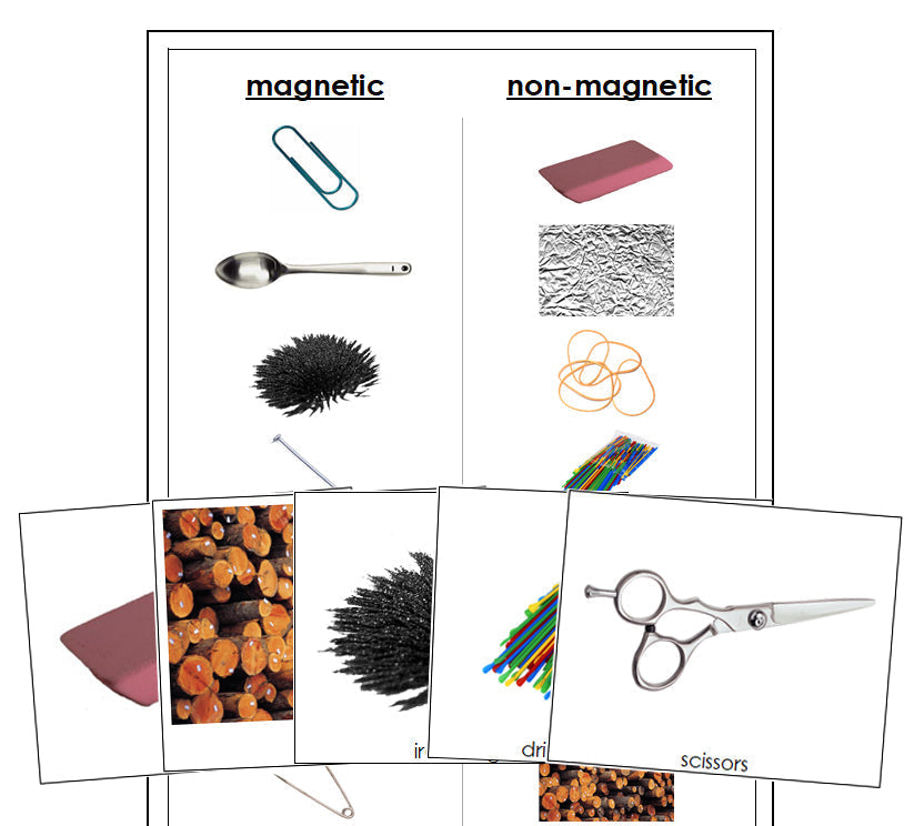 Magnetic or Non-Magnetic? - Montessori Print Shop - Montessori Print Shop -