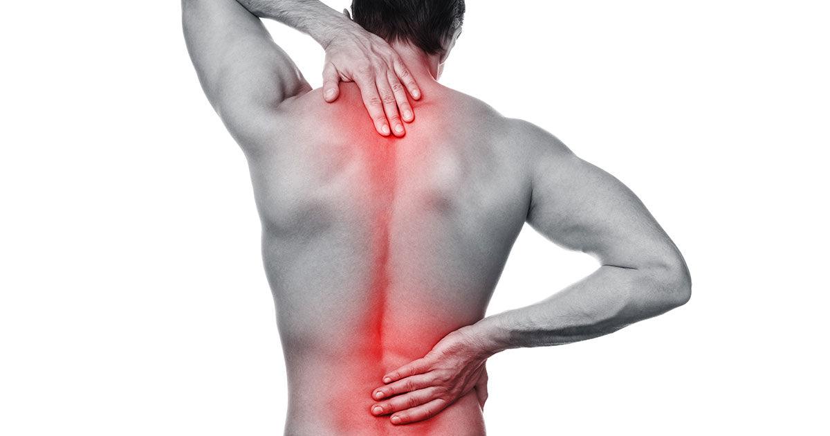 8 Causes of Back Pain in Women  Discover Top Reasons for Back in Females -  Medi-Dyne