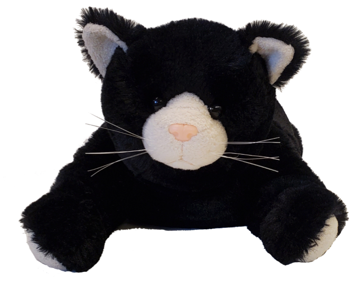 black cat stuffed toy