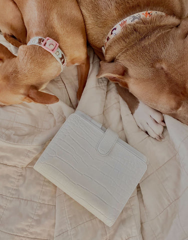 Two dogs laying next to the white croc planner