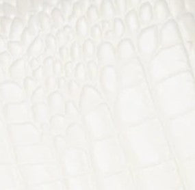 White Croc Texture/Color
