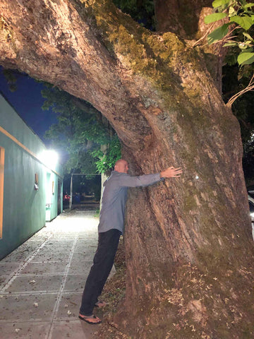 nathaniel-hugging-tree-portland