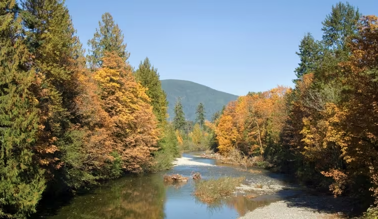 cowichan lake bc vancouver island autumn