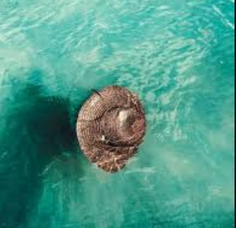What should you wear paddleboarding in ocean? best Tips 