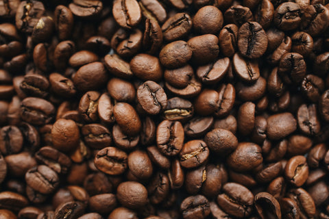 coffee seed coffee bean