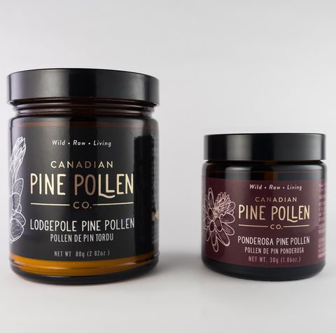 Pine pollen powder