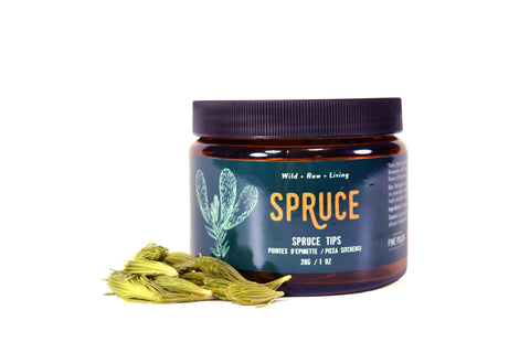 Spruce Tips for Sale