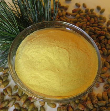 PINE POLLEN POWDER FOR ESTROGEN BALANCE