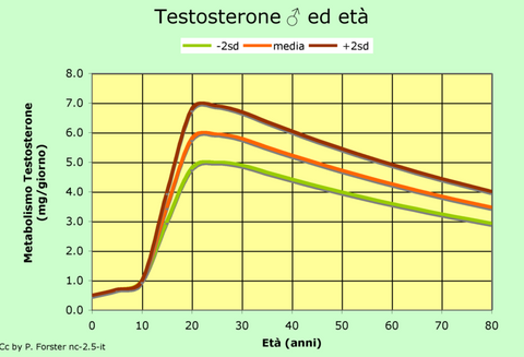 Baisse de testostérone après 30 ans