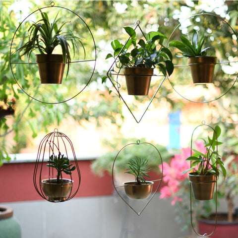 Hanging Planters in Curtain Formation