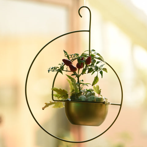 Spiral hanging planter