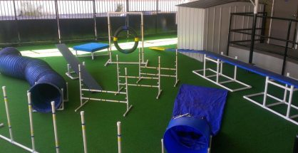 An overview of a dog agility training obstacle course.