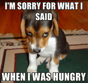 Hungry Puppy