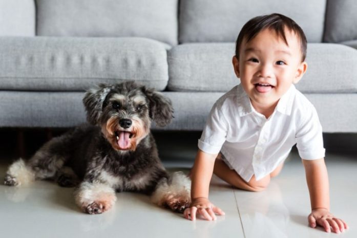 A boy with his family pet, a dog — most children and pets can get along well.