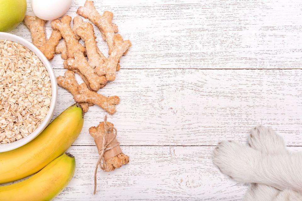 Homemade remedies for dogs -  oatmeal for dogs