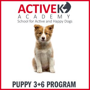 Puppy Program