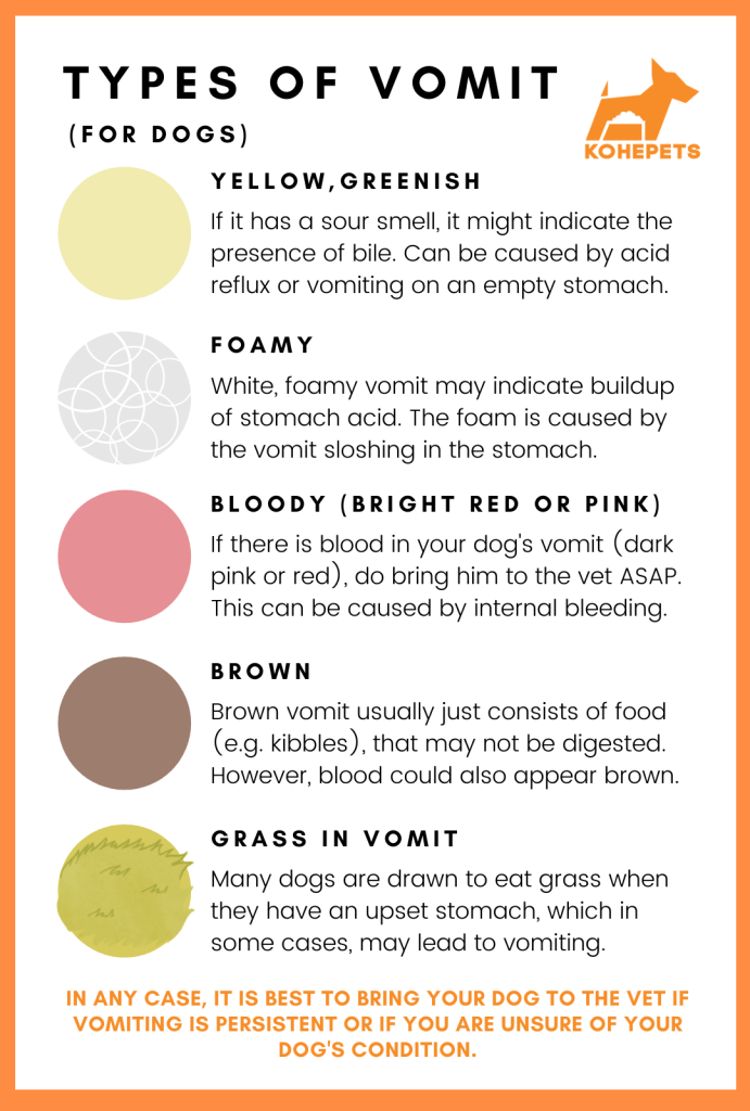 Types Of Vomit, by KOHEPETS

Yellow, Greenish
f it has a sour smell, it might indicate the presence of bile. Can be caused by acid reflux or vomiting on an empty stomach.

Foamy
White, foamy vomit may indicate buildup of stomach acid. The foam is caused by the vomit sloshing in the stomach.

Bloody (Bright Red or Pink)
If there is blood in your dog's vomit (dark pink or red), do bring him to the vet ASAP. This can be caused by internal bleeding.

Brown
Brown vomit usually just consists of food (e.g. kibbles), that may not be digested. However, blood could also appear brown.

Grass in Vomit
Many dogs are drawn to eat grass when they have an upset stomach, which in some cases, may lead to vomiting.

In any case, it is best to bring your dog to the vet if vomiting is persistent or if you are unsure of your dog's condition.