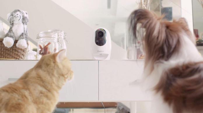 Best Pet Gadgets — Pawbo+ Wireless Interactive Pet Camera