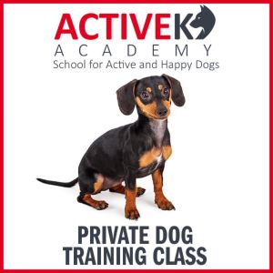 active-k9-academy-private-dog-training-class