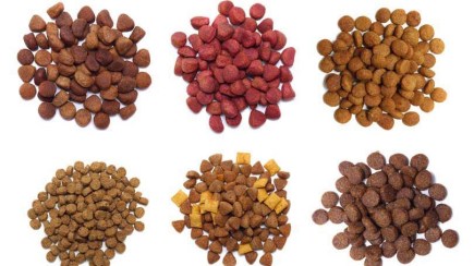 Different shape, size and consistency of cat kibbles.