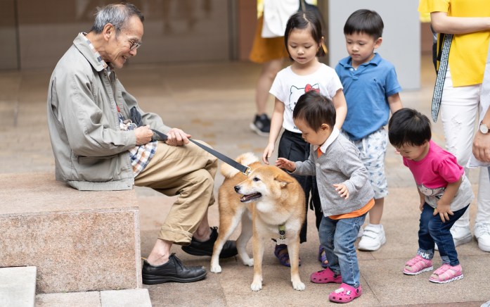 Older people, disabled people and those who tend to be less social than others can also greatly benefit from pet ownership.