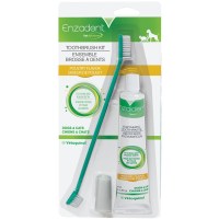 enzadent-toothbrush-kit