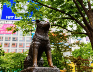 history of dogs hachiko statue