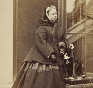 history of dogs queen victoria