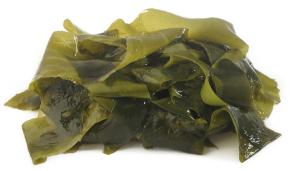 Kelps are high in dietary fiber content. They have great benefits when added to your dog's diet.