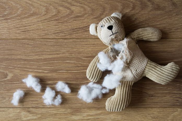 Cleaning Pet's Toys: A damaged plush toy.