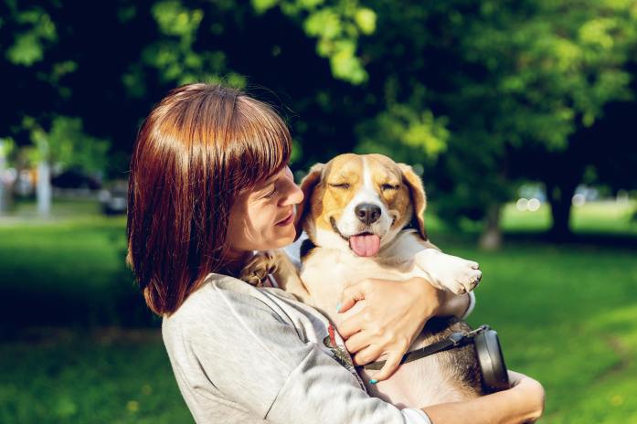 Woman in grey long-sleeved carrying a beagle