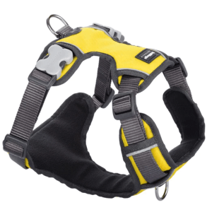Red Dingo Padded Dog Harness (Yellow)