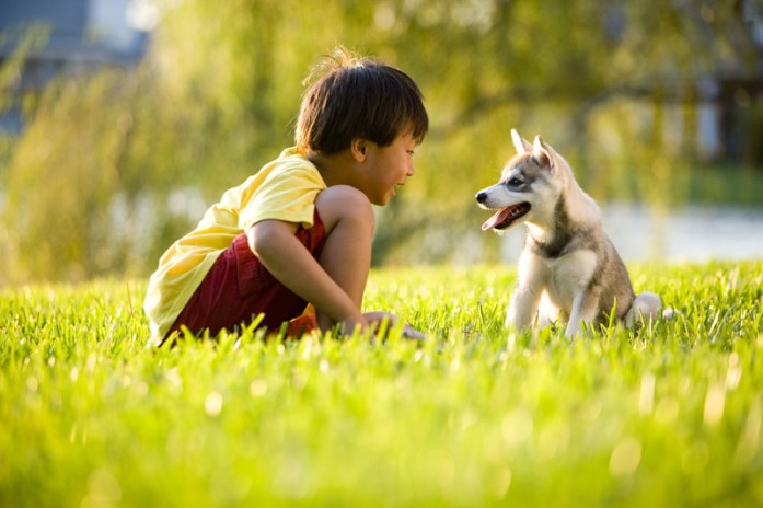 A child with their dog in a grass field — children can get along with their pets very well, if managed well.