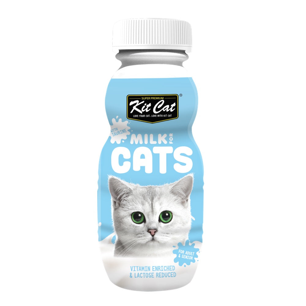 Lora kitten milk