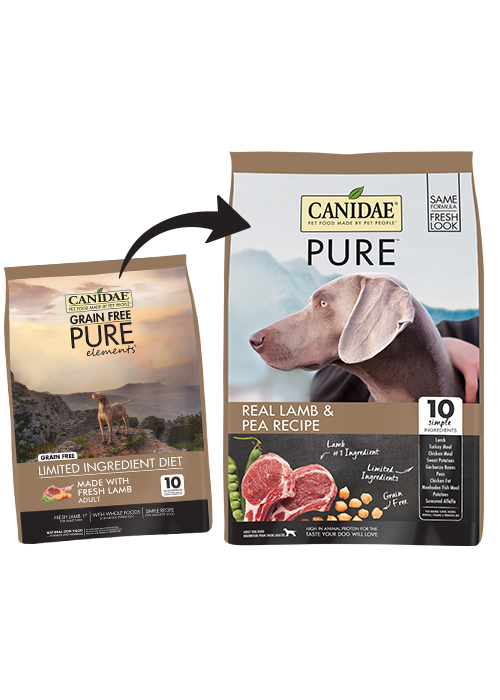 canidae lamb and pea