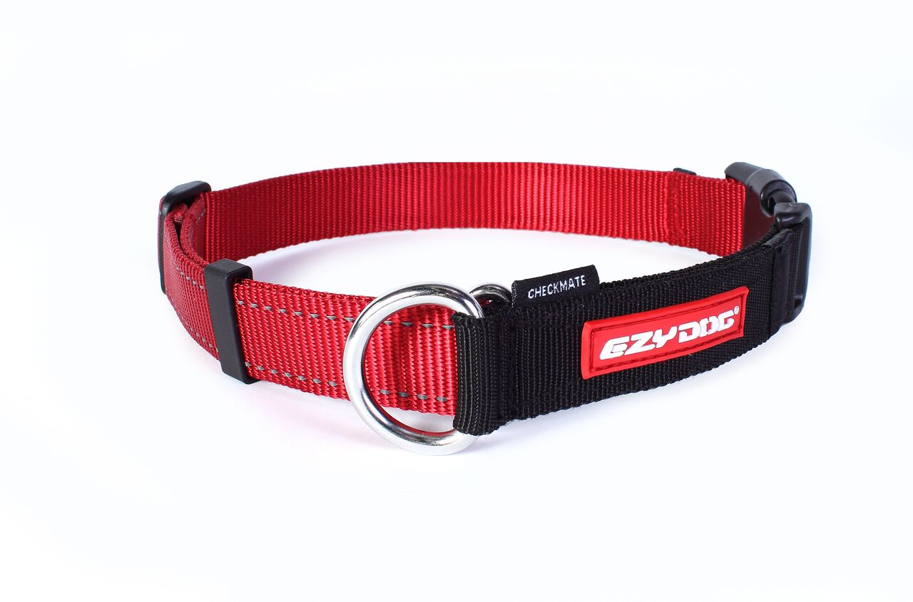 ezydog collar medium