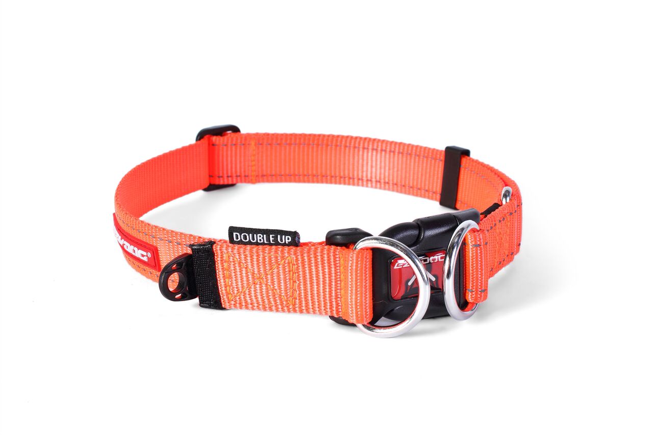 ezydog collar medium