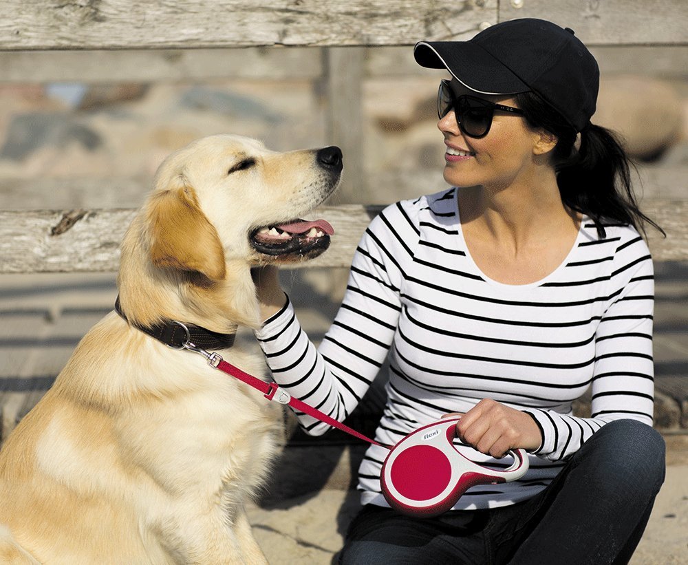 retractable cable tie out for small dogs