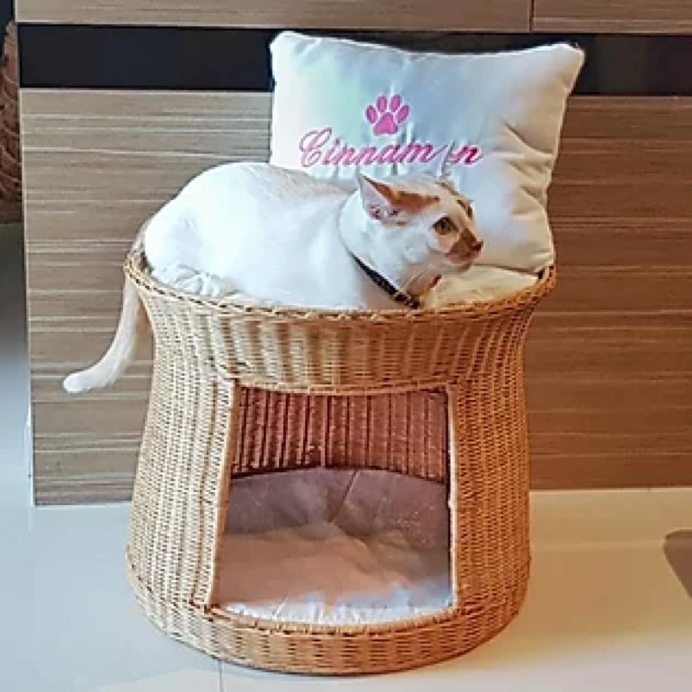 cupcake cat bed