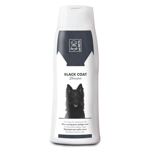 black dog shampoo