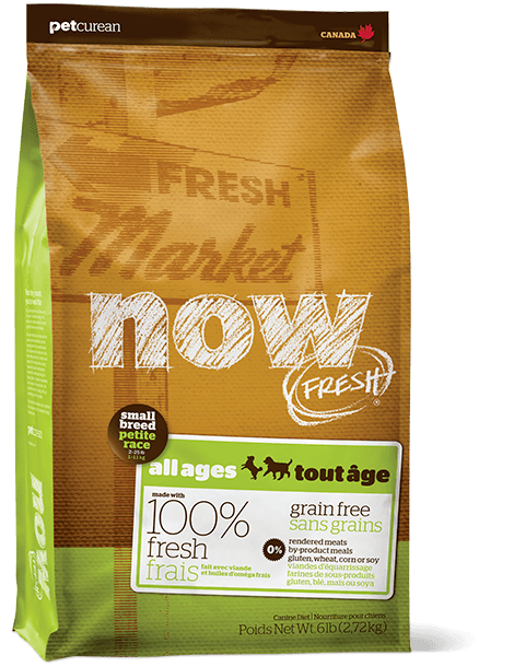 now dry dog food