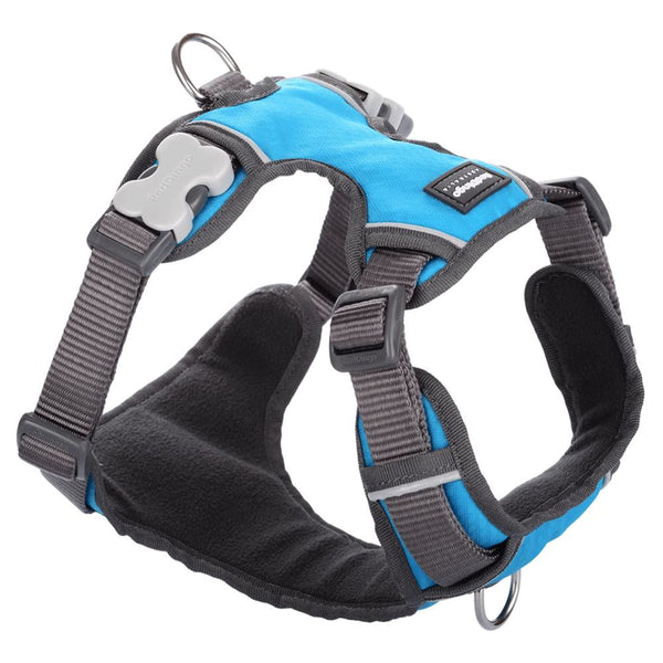 padded dog harness