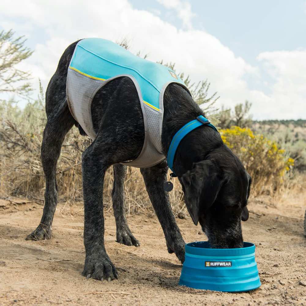 ruffwear lightweight cooling vest for dogs